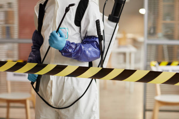 Professional Blood Cleanup technician working in Levan, UT